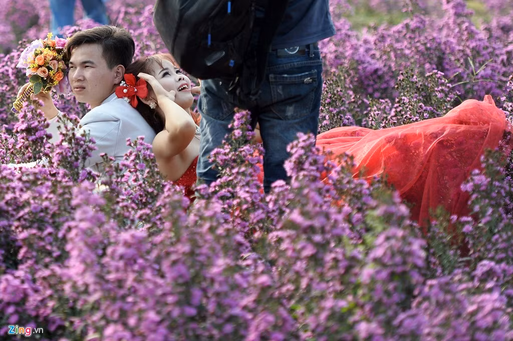 Cô dâu nhí nhảnh, song chú rể lại nhăn nhó vì chói mắt và mệt mỏi.