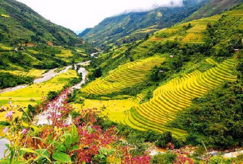 Sa Pa, Việt Nam Thị trấn Sa Pa có văn hóa đa dạng, khí hậu mát mẻ và phong cảnh đẹp, bao gồm nhà thờ đá được xây dựng theo phong cách Gô-tích. Du khách có thể thưởng thức các món ăn Việt Nam hay châu Âu tại trung tâm thị trấn và đừng quên ghé thăm “chợ tình” vào tối thứ Bảy hàng tuần. Ngoài ra, bạn có thể khám phá phong cảnh núi non và ruộng bậc thang ở đây.