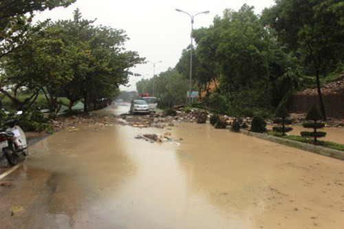 Khu vực này trước đây có nhiều hộ dân sinh sống, rất may đã được chính quyền di dời.