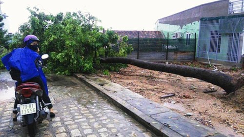 Khu vực này trước đây có nhiều hộ dân sinh sống, do thường xuyên bị sạt lở ảnh hưởng đến tính mạng, tài sản nên chính quyền địa phương đã di dời nhiều hộ đi nơi khác.