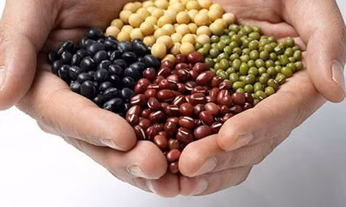 Ho bien nui doi lep kep thanh no nang bong mat