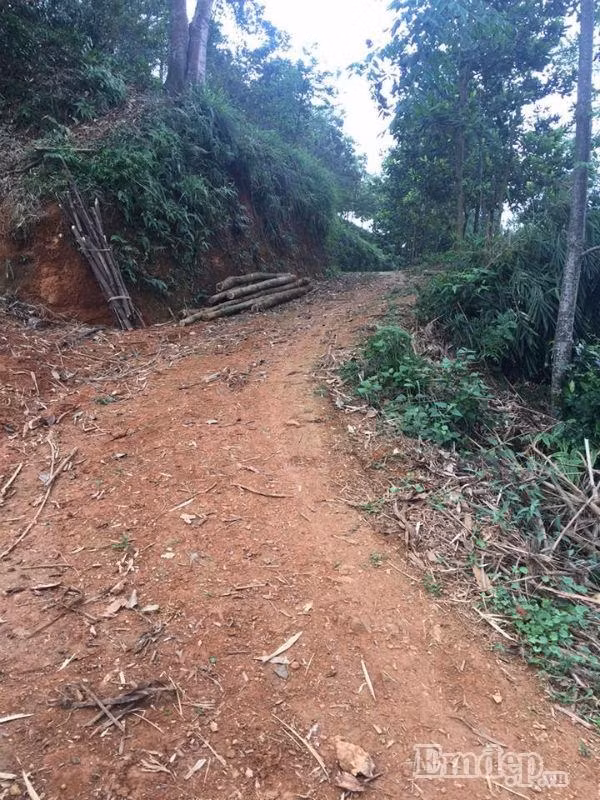 Bi kich cua ong lao mu cham 2 con dien va chau ngoai