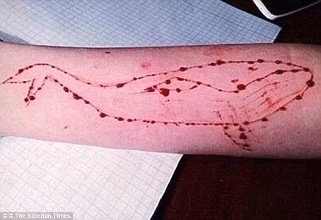 Bat giu ke dung dau trao luu tu sat “Ca voi xanh”-Hinh-2