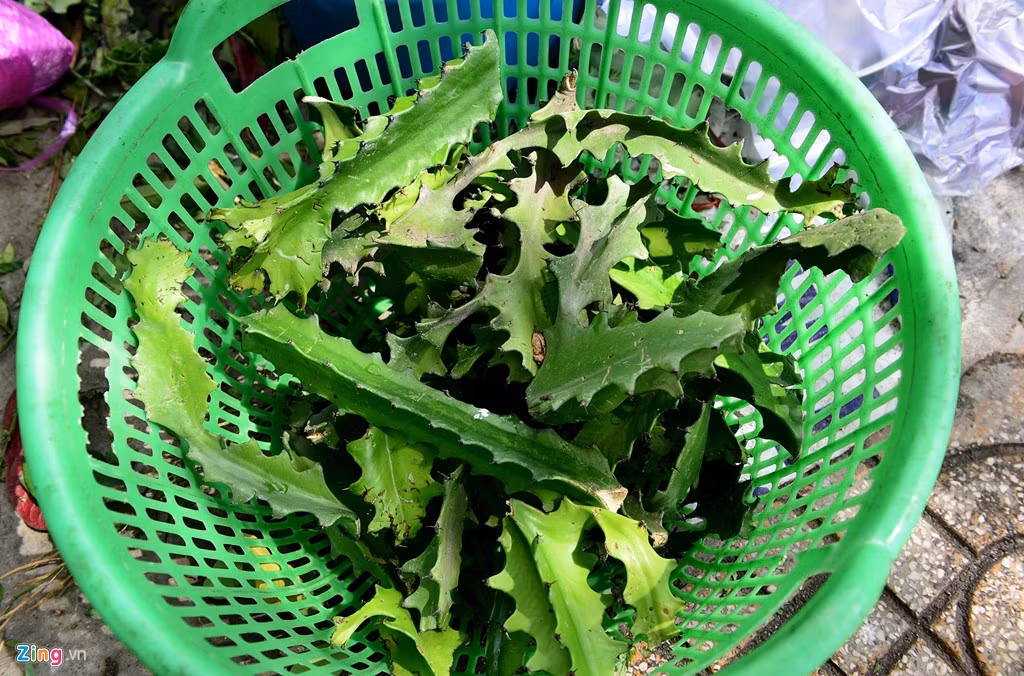 Mỗi bó lá sâu có giá từ 10.000 đến 15.000 đồng.