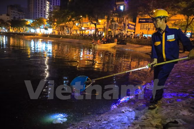 Trên bờ, số lượng cá chết dạt vào vẫn còn rất nhiều. Nhiều người dân hiếu kỳ xung quanh đã phải bịt mũi lại trước mùi hôi tanh nồng nặc. (Ảnh: Minh Sơn/Vietnam+)