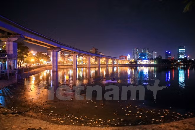 Sáng 8/6, hồ Hoàng Cầu bỗng nhiên xuất hiện cá chết, đến chiều tối thì lượng cá chết nổi trắng hồ. (Ảnh: Minh Sơn/Vietnam+)