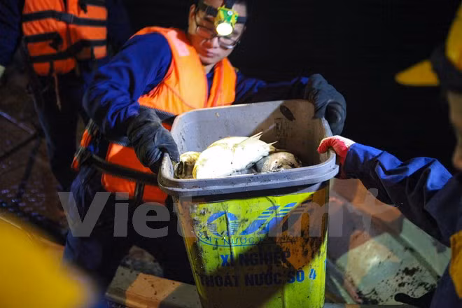 Cá vớt được trên thuyền sẽ được mang ngay đến xe chở rác và mang đi tiêu hủy. (Ảnh: Minh Sơn/Vietnam+)