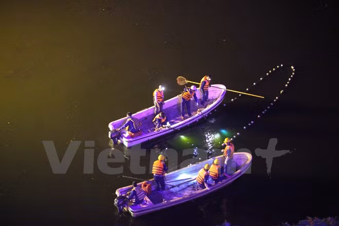 Số lượng cá lớn bé khác nhau khiến các công nhân rất khó khăn để tập trung cá chết vào một chỗ. (Ảnh: Minh Sơn/Vietnam+)