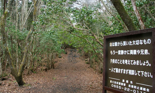 Khu rung tu sat o Nhat Ban: Bi am boi nhung linh hon tu tu