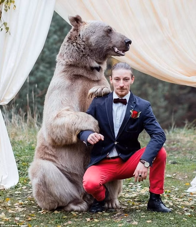 Để có thân hình khổng lồ như vậy, mỗi ngày, Stepan ngốn hết khoảng 25 kg cá, rau và trứng.