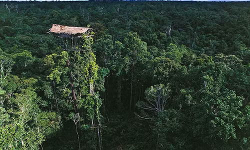 Nhà của người Korowai dựng cách mặt đất từ 6 -12 m.