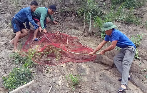 Phat hoang canh trai ban bat ran ho mang chua-Hinh-2