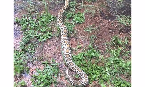 Tran 3m di nho hang tram cay so ma tai xe khong biet