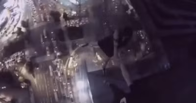 Cặp đôi này cũng có những động tác vào buổi tối.