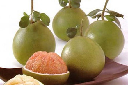 Bưởi: Loại quả rất tốt cho sức khỏe của phổi với lượng vitamin và khoáng chất dồi dào. Các chuyên gia sức khỏe cho rằng, lượng Flavonoid trong loại quả này rất tốt trong việc làm sạch phổi bị ảnh hưởng do các chất gây ung thư.