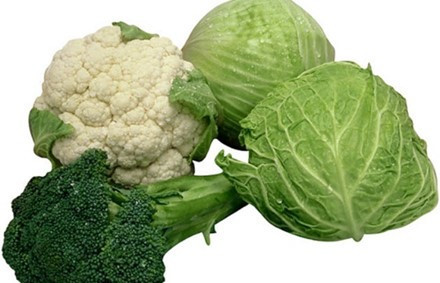 Các loại cây họ cải: Bao gồm bắp cải, cải cúc, súp lơ là thực phẩm tốt cho phổi. Chúng giàu chất chống oxy hóa, loại bỏ độc tố tích trong phổi do hút thuốc.