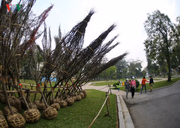 Ở Nhật Bản, hoa anh đào thường nở vào mùa xuân, tùy từng nơi mà hoa có thể nở sớm hơn hay muộn hơn. Ở miền Nam Nhật ấm áp hơn, hoa có thể nở từ cuối tháng một trong khi vùng Bắc Nhật Bản, hoa có thể nở vào tháng 5. Do vậy người yêu thích hoa anh đào có thể ngắm hoa theo hành trình đi từ Nam lên Bắc trong nước Nhật hàng tháng trời.