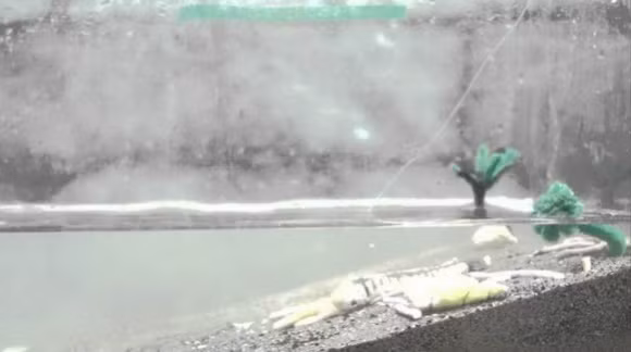 Đây là cuộc "đại tuyệt chủng" đầu tiên xảy ra cách đây khoảng 450 triệu năm. Đây được coi là cuộc tuyệt chủng lớn thứ hai trong lịch sử nếu tính theo số loài bị tiêu diệt với 85% loài cá và 60% các loài sinh vật bị tiêu diệt. Nguyên nhân cuộc tuyệt chủng được chấp nhận nhiều hơn cả là vụ nổ tia gamma của một ngôi sao gần Trái đất làm cho carbon dioxide trong khí quyển sụt giảm mạnh. Điều này đã ảnh hưởng tới Trái đất, tạo ra một thời kỳ băng hà kéo dài 0,5 - 1,5 triệu năm. Mực nước biển hạ thấp kết hợp với sự lạnh giá của băng hà đã đem đến sự tuyệt chủng hàng loạt vào kỷ Ordovic.