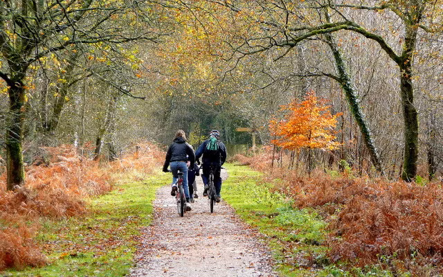 Gia đình là tất cả: Gia đình là điều vô cùng quan trọng và thiêng liêng với các nàng Bọ Cạp. Cô ấy yêu quý gia đình mình và có thể làm mọi thứ để bảo vệ nó.