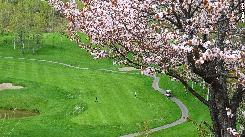 Thị trấn Niseko, Hokkaido: Một trong hai sân golf ở Niseko do golf thủ huyền thoại Arnold Palmer thiết kế, có hàng cây anh đào dọc theo con đường gần cổng. Góc nhìn tuyệt đẹp về phía ngọn núi thiêng Yotei khiến trải nghiệm thêm độc đáo. Thời điểm lý tưởng để ngắm hoa nở tại Niseko là giữa tháng 5.