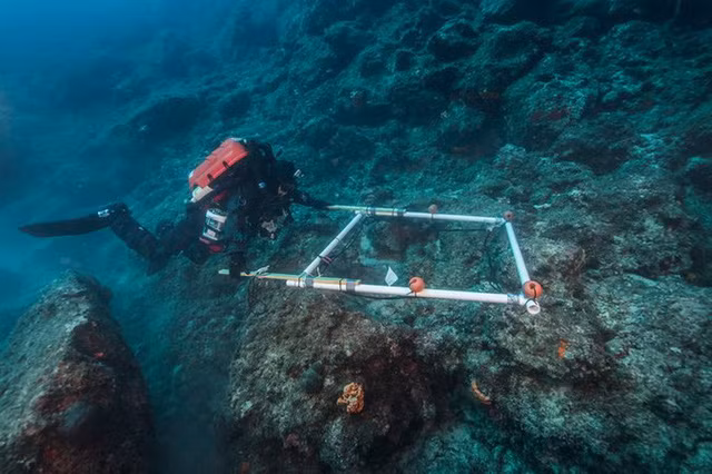 Bi mat tau "Titanic co dai" dan he lo