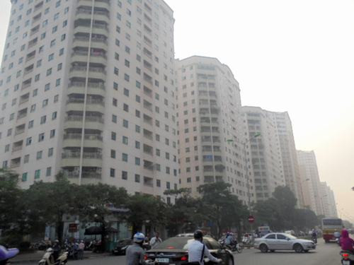 Cảnh đường thông hè thoáng rất hiếm khi.