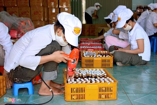 Thực hiện đúng quy định của pháp luật về bảo hộ quyền sở hữu công nghiệp, sản phẩm đáp ứng các điều kiện quy định về nguồn gốc xuất xứ và chất lượng; bảo đảm an toàn vệ sinh thực phẩm mới được gắn tem, nhãn chỉ dẫn địa lý.