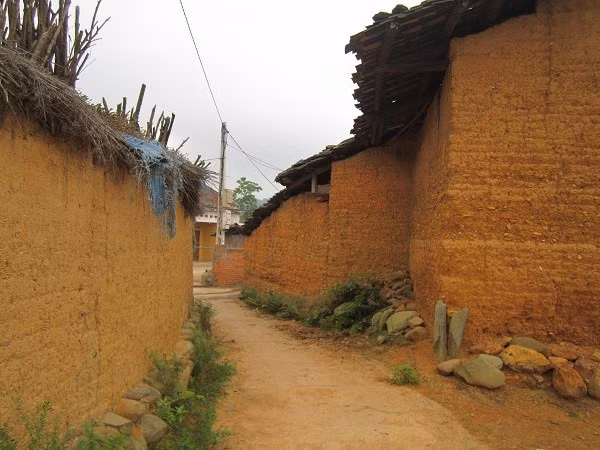 Những con đường trong phố trình được.