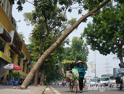 Nhiều người dân bức xúc cho biết, dù tình trạng này đã diễn ra cả tháng nay nhưng không hề có một đơn vị, cơ quan chức năng nào đến xử lý.