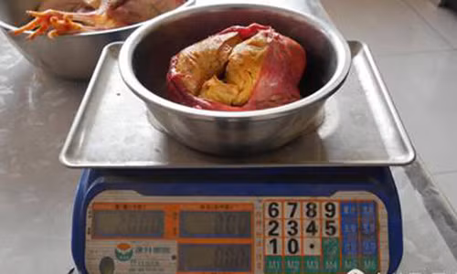 Mo ga, phat hien ke bao quy nhu vang