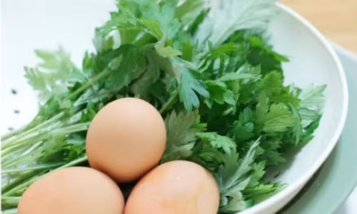 Nhung nguoi nay tuyet doi khong nen an ngai cuu