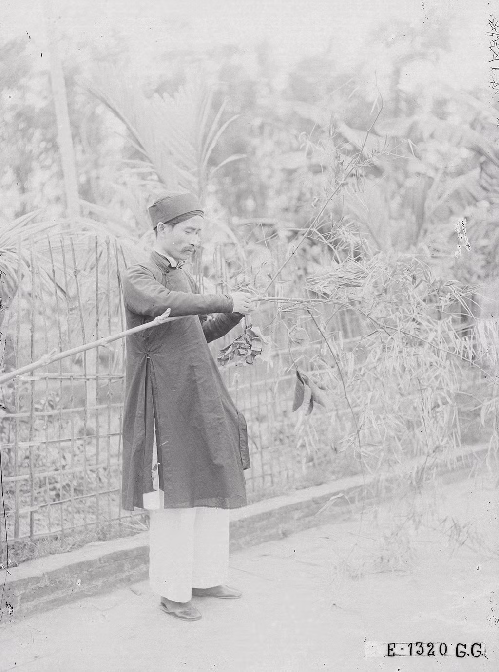 Ngày 23 tháng Chạp, bên cạnh việc làm lễ cúng đưa ông Táo về chầu Trời, cây nêu cũng được dựng nên tại các nơi công sở, tư gia với mục đích xua đuổi tà ma và ước nguyện bình an theo quan niệm của người xưa.