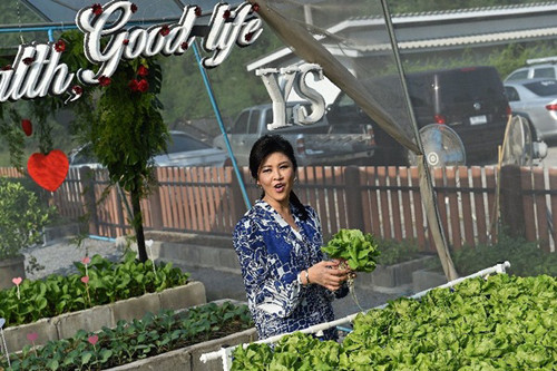 Vườn rau của cựu Thủ tướng Thái Lan Sau khi rời chính trường, cựu Thủ tướng Thái Lan Yingluck Shinawatra đã dành thời gian rảnh rỗi của mình để chuyển sang thú điền viên tao nhã, thư thái. Mới đây bà đã mời các phóng viên tới thăm quan vườn rau sạch của bà ở Bangkok. Để có được những luống rau tươi xanh trong điều kiện thời tiết nắng nóng liên tục ở Thái Lan, bà Yingluck đã cho làm nhà lưới bao phủ. Các loại rau cũng được trồng theo phương thức đa dạng như trồng bằng đất và phương pháp thủy canh. Từ loại rau xà lách cho đến rau cải... đều được bà chăm chút khá chỉnh chu, cẩn thận. Bởi vậy, các luống rau cứ thế đua nhau mọc tươi tốt và hầu như không bị sâu ăn hại.