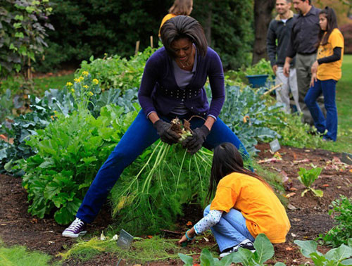 Những củ khoai, cà rốt tươi ngon chỉ là một phần rất nhỏ trong thành quả bà thu được từ vườn rau sạch của mình.