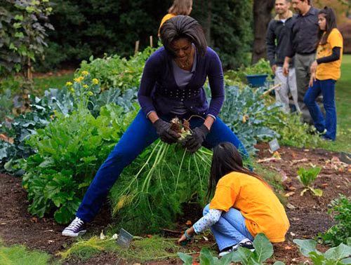 Những củ khoai, cà rốt tươi ngon chỉ là một phần rất nhỏ trong thành quả bà thu được từ vườn rau sạch của mình.