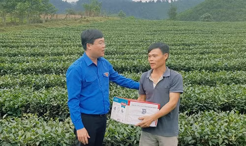 Nhung trieu phu vung bien-Hinh-2