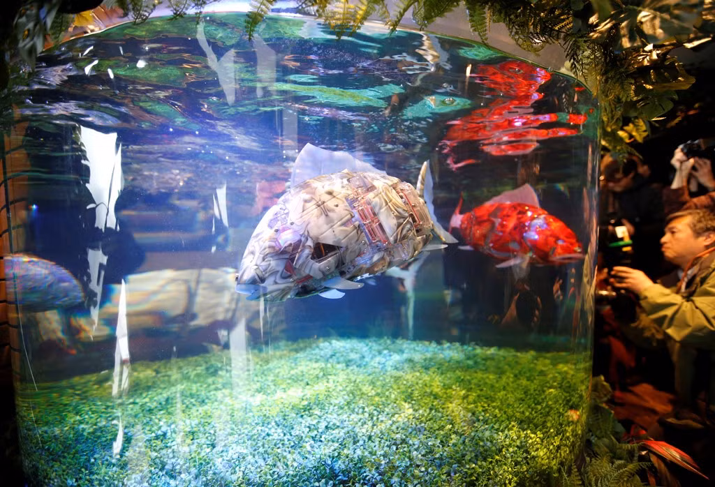 Những con cá robot bơi lội trong bể cá được đặt ở sảnh.