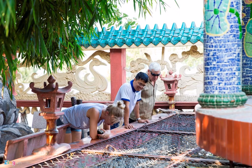 Hồ nước thả rùa ở sân trước.