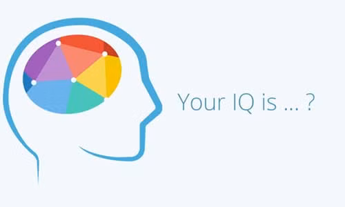 Tu xem IQ cua minh bang 10 cau hoi don gian
