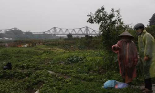 Tet ve voi xom noi ven song Hong