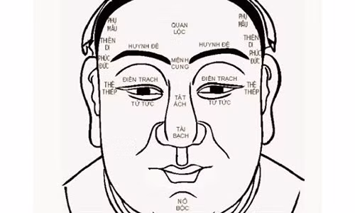 Nhung dac diem tot cua tuong mat dem lai dieu tot lanh