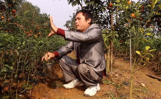 9X tat nguyen thu tien ty nho vuon uom cay giong xuat ngoai