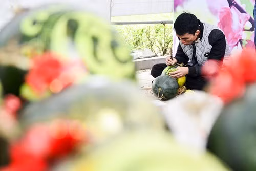 Anh Nguyễn Đức Trí (24 tuổi, quê Thái Bình) cho biết, những trái dưa được tuyển chọn kỹ từ Vĩnh Long sau đó vận chuyển ra Hà Nội.