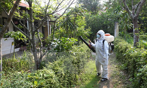 Cuc Y te du phong: Benh sot xuat huyet dien bien phuc tap