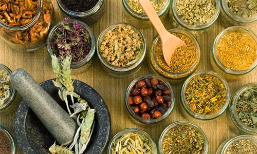 4 loai rau, gia vi co suc manh ngang ngua khang sinh