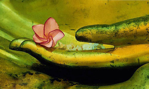 Phat chi 3 nghiep bao khien hon nhan tan vo can tranh tuyet doi