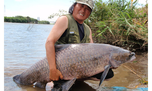Nhung chuyen ron nguoi ve ca khong lo o Hai Duong