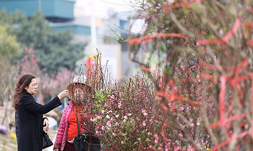 Ngay tot xuat hanh, khai truong Tet Dinh Dau 2017