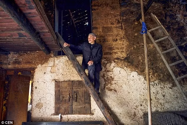 Tan từng sống cùng vợ, 3 con trai và 1 con gái. Ông tự đóng phần lớn đồ đạc trong nhà.