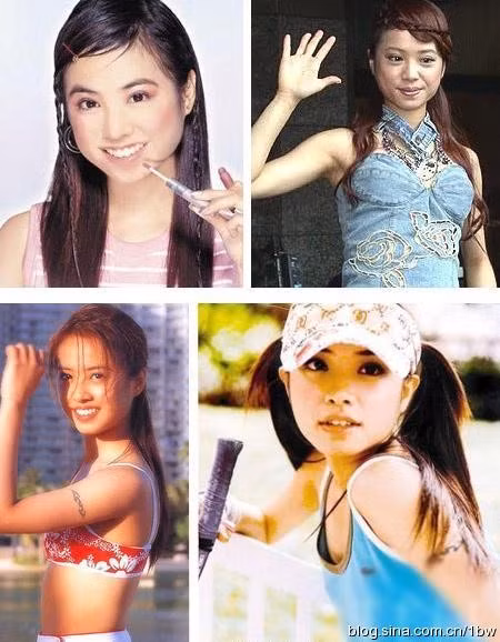 Thái Y Lâm với phong cách càng sặc sỡ càng tốt. Thời điểm đó, Y Lâm luôn chọn phủ kín bầu mắt trên bằng tông hồng đậm hoặc xám.